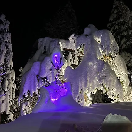 Vakantiehuis Haus Im Wald Seefeld in Tirol