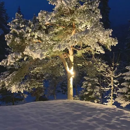 Haus Im Wald Seefeld in Tirol
