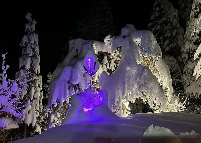 بيت للعطل Haus Im Wald سيفيلد ان تيرول