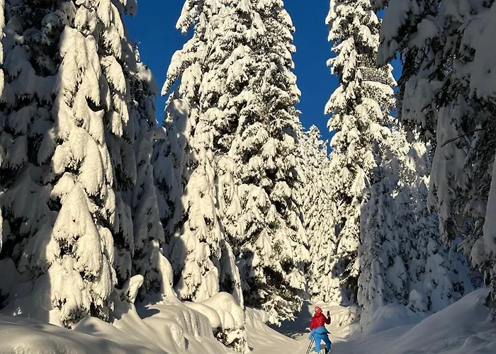Haus Im Wald Seefeld in Tirol
