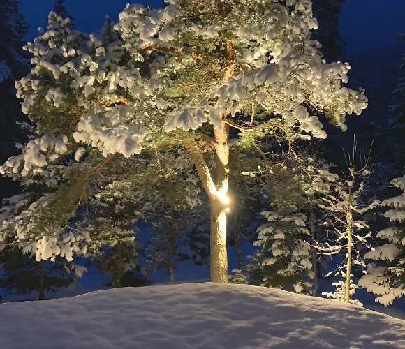 Haus Im Wald Seefeld in Tirol