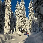 Haus Im Wald Ζέεφελντ