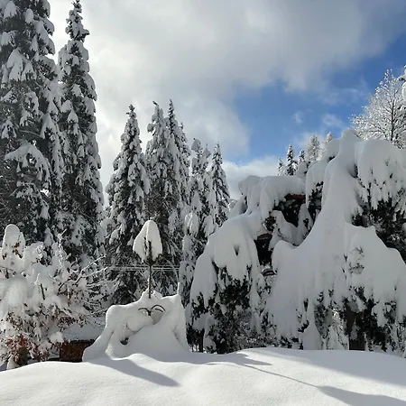 Haus Im Wald *